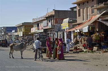 02 PKW-Reise_Jodhpur-Mount_Abu_DSC3917_b_H600